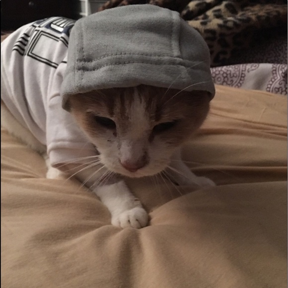 Meet your Posher, Deborah - Picture 6 of 9